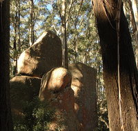 Gulaga National Park - Lismore Accommodation