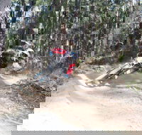 Jolly Nose Mountain Bike Park - Lismore Accommodation