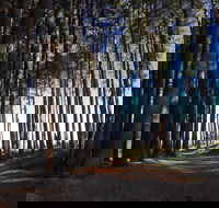 Mountain Bike Trails Tumbarumba - Lismore Accommodation