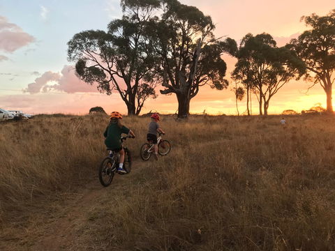 Mountain Bike Trails Tumbarumba - Lismore Accommodation 2