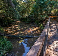 Ms Kellys Walking Track - Lismore Accommodation