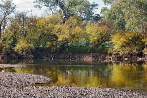 Mungabareena And Water Works - Lismore Accommodation 0