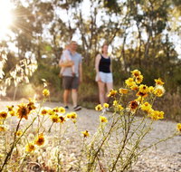Nail Can Hill - Lismore Accommodation