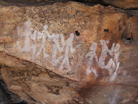 Ngamadjidj Shelter - Wartook Valley - Lismore Accommodation 0