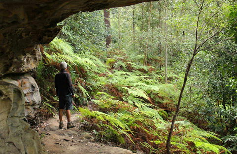 Old Great North Road Bike Ride - Lismore Accommodation 0