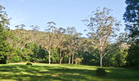 Red Cedar Flat Picnic Area - Lismore Accommodation 0