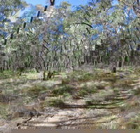 Reef Hills State Park - Lismore Accommodation