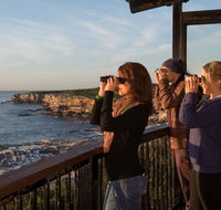 Sutherland Shire - Lismore Accommodation