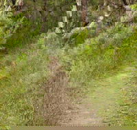 Three Views walking track - Lismore Accommodation