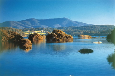 Wagonga Picnic Area - Lismore Accommodation 0