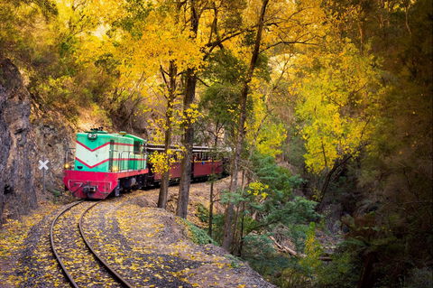 Walhalla Goldfields Railway - Lismore Accommodation 2