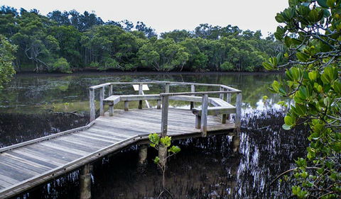 Walk On Water Walking Track - Lismore Accommodation 0