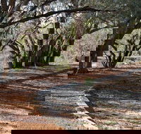 Warrego Floodplain walking track - Lismore Accommodation