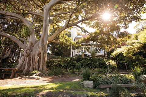 Wendy Whiteley's Secret Garden - Lismore Accommodation 0