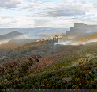 Badgerys Spur Walking Track - Lismore Accommodation