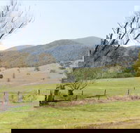 Banimboola Creek Rest Area - Lismore Accommodation