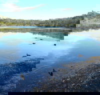 Berrara Creek - Lismore Accommodation