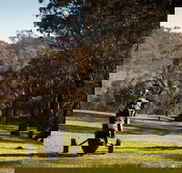 Blayney Golf Club - Lismore Accommodation