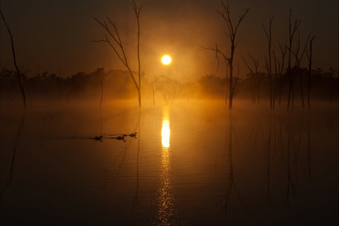 Boshack Outback - Lismore Accommodation 1