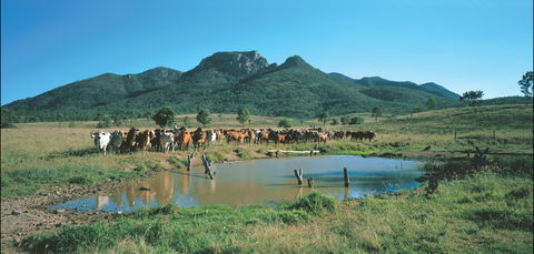 Bundaberg- Biggenden- Mount Perry Circle - Lismore Accommodation 0