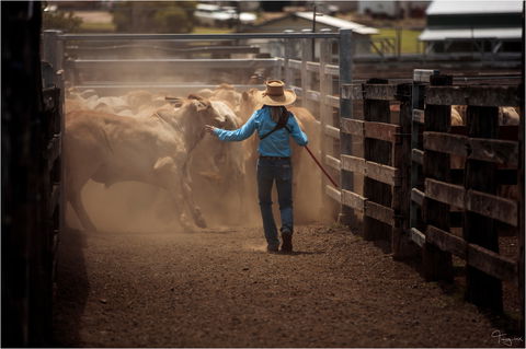Bundaberg- Biggenden- Mount Perry Circle - Lismore Accommodation 1