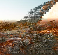 Chick Hill Walk - Lismore Accommodation