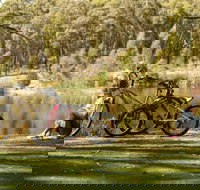 Creswick Regional Park