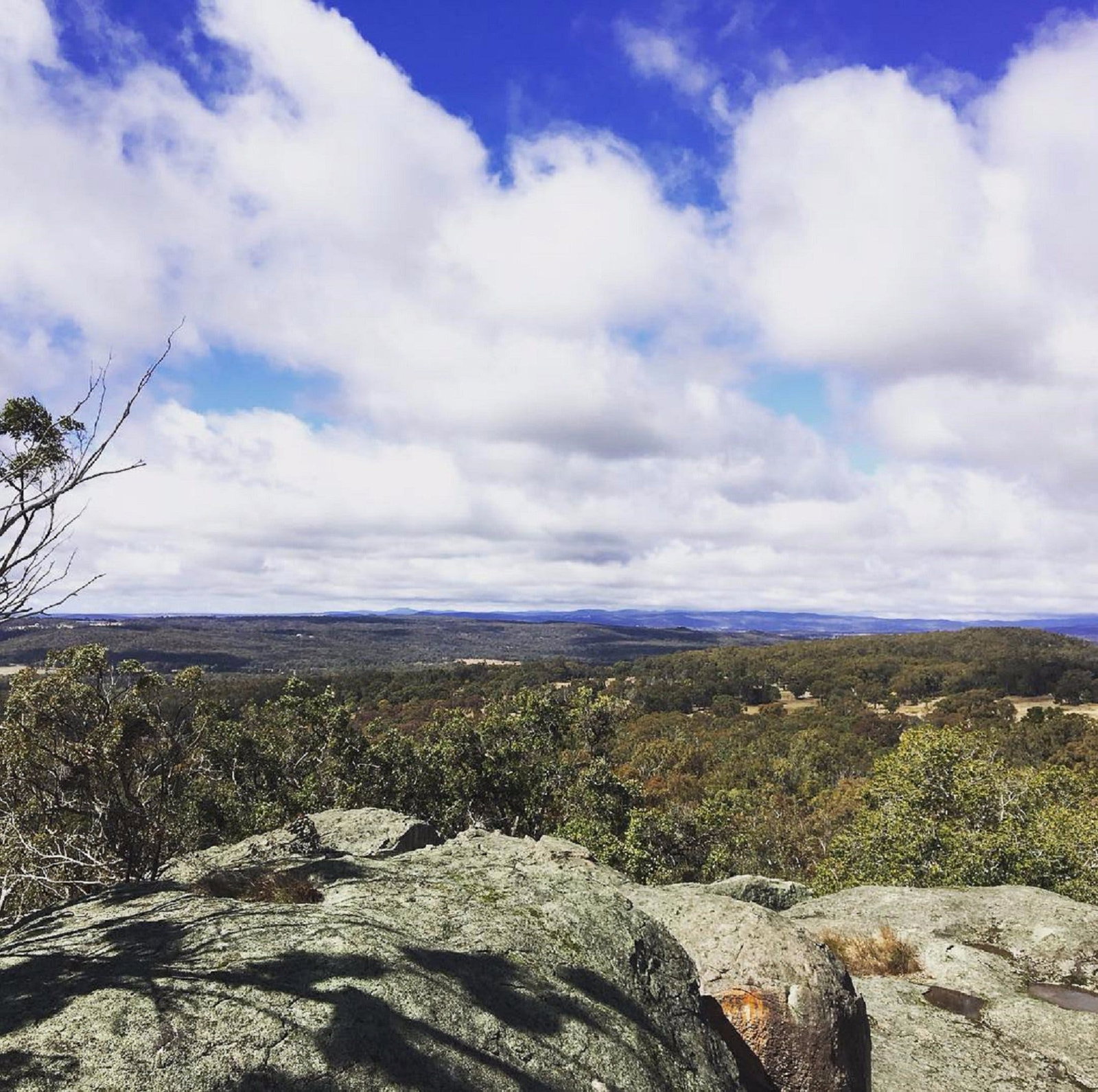  Lismore Accommodation