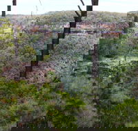 East Rim wildflower walking track - Lismore Accommodation