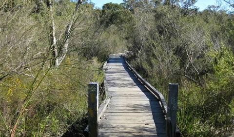 Falcon Crescent Link Track - Lismore Accommodation 0