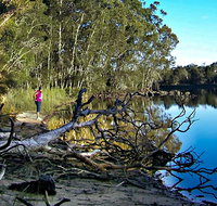 Five Islands Walking Track - Lismore Accommodation