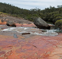 FR Berry Reserve - Lismore Accommodation