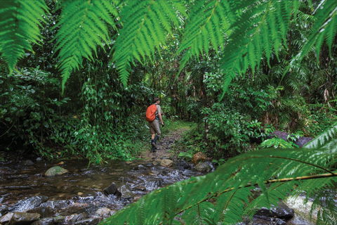 Goldsborough Valley, Wooroonooran National Park - Lismore Accommodation 0