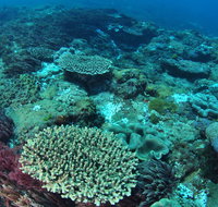 Hanging Rock Dive Site - Lismore Accommodation