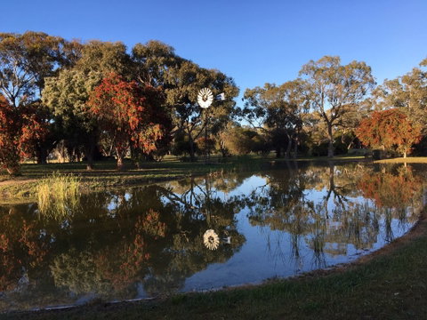 Jubilee Park - Lismore Accommodation 0