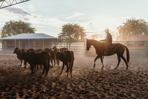 Katherine Outback Experience - Horse Riding Experience - Lismore Accommodation 2