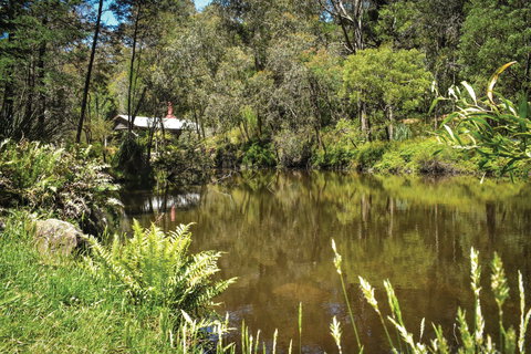 Kurth Kiln Regional Park - Lismore Accommodation 0
