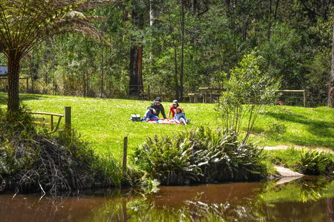 Kurth Kiln Regional Park - Lismore Accommodation 1