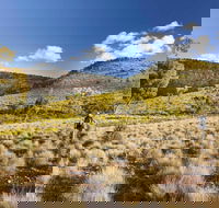 Little Mountain Walking Track - Lismore Accommodation