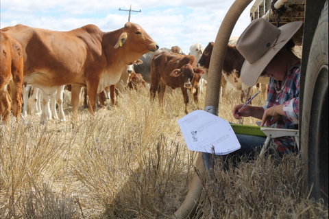 Longreach School Of Distance Education - Lismore Accommodation 2
