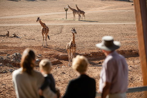Monarto Safari Park - Lismore Accommodation 0