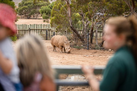 Monarto Safari Park - Lismore Accommodation 1