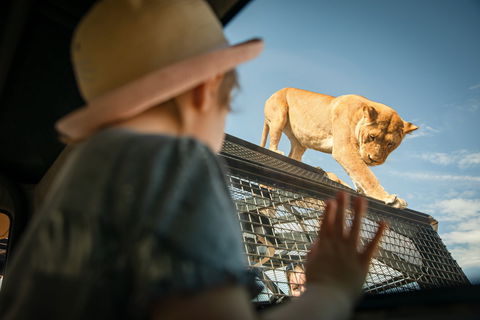 Monarto Safari Park - Lismore Accommodation 2
