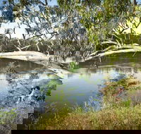Murray Valley National Park - Lismore Accommodation