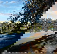 Murray River National Park - Katarapko - Lismore Accommodation