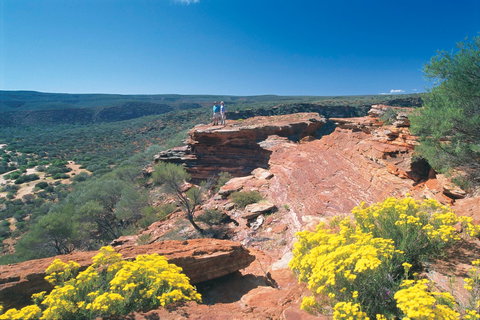 Northern Explorer Wildflower Trail - Lismore Accommodation 1