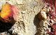 Ochre Pits - thumb 1