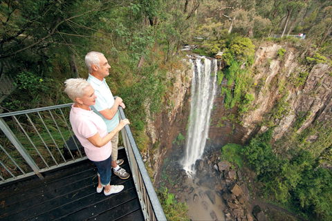 Queen Mary Falls Circuit, Main Range National Park - Lismore Accommodation 1