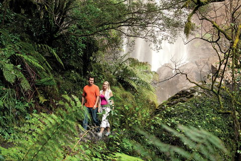 Queen Mary Falls Circuit, Main Range National Park - Lismore Accommodation 2