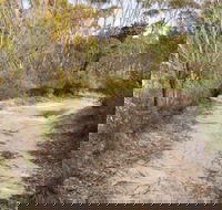Red Rocks trig walking track - Lismore Accommodation